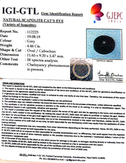 4.96 Ratti Natural Scapolite Cat's Eye with Govt. Lab Certified-(1221)